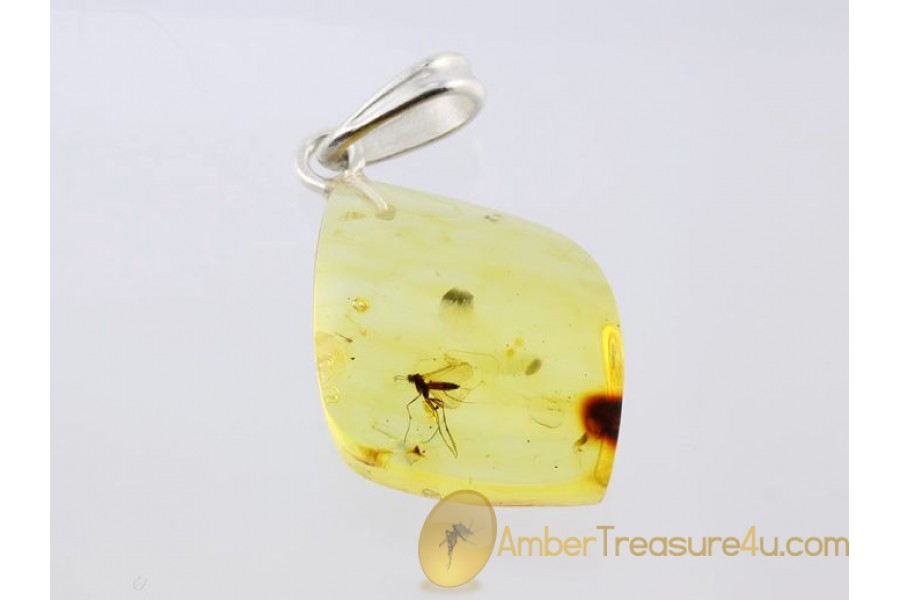 Genuine BALTIC AMBER Silver Pendant w Fossil GNAT