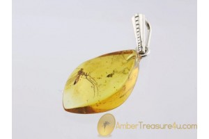 Genuine BALTIC AMBER Silver Pendant w Fossil large GNAT