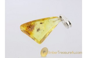 Genuine BALTIC AMBER Silver Pendant w Fossil 2 Flies