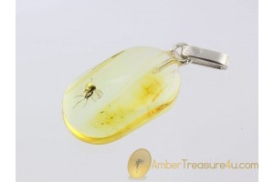 Genuine BALTIC AMBER Silver Pendant w Fossil GNAT