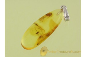 Genuine BALTIC AMBER Silver Pendant w FOSSIL INSECT