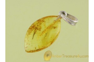 Genuine BALTIC AMBER Silver Pendant w FOSSIL INSECT