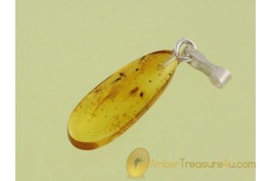 Genuine BALTIC AMBER Silver Pendant w 5 FOSSIL INSECTS