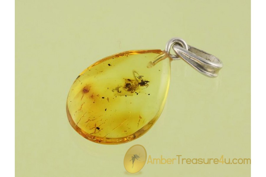 Genuine BALTIC AMBER Silver Pendant w Tiny SPIDER & ANT