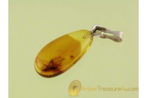 Genuine BALTIC AMBER Silver Pendant w Fossil Large GNAT