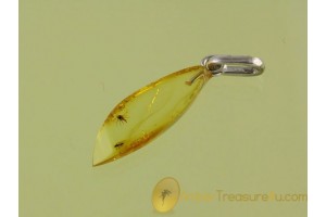Genuine BALTIC AMBER Silver Pendant w 2 FOSSIL INSECTS