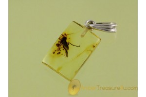Genuine BALTIC AMBER Silver Pendant w Fossil Large FLY