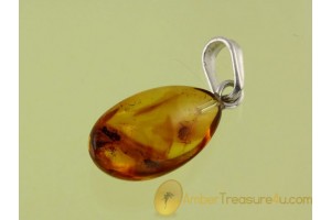 Genuine BALTIC AMBER Silver Pendant w Fossil FLY