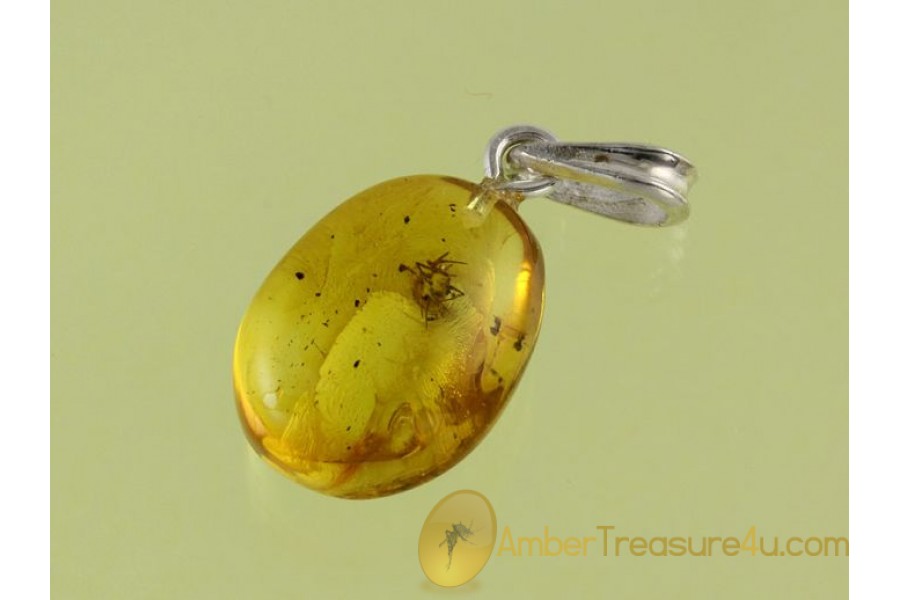 Genuine BALTIC AMBER Silver Pendant w Fossil SPIDER