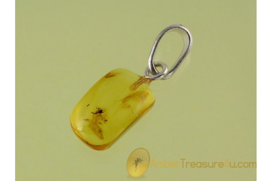 Genuine BALTIC AMBER Silver Pendant w FOSSIL INSECT