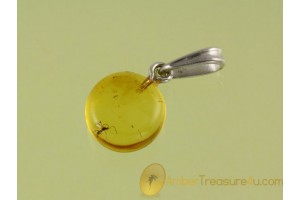 Genuine BALTIC AMBER Silver Pendant w Fossil FLY