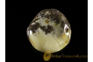 Unique color Polished Genuine BALTIC AMBER Stone