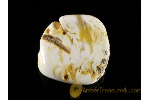 Unique color Polished Genuine BALTIC AMBER Stone