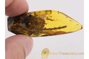 Very Long 40mm THUJA Twig & BARK in BALTIC AMBER 1217