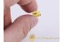 PARASITIC MITE on CRANE FLY in BALTIC AMBER 1022