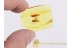 SALTICIDAE Huge JUMPING SPIDER in BALTIC AMBER 624