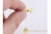 Great Looking PSEUDOSCORPION in BALTIC AMBER 636