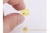 PHALANGIDA Superb HARVESTMEN OPILIONE in BALTIC AMBER  648