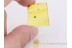 PARASITIC MITE on Long-Legged FLY in BALTIC AMBER 700
