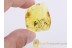 Large Bunch of MAMMALIAN HAIR & MITES in BALTIC AMBER 763