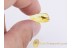 Large Great LIOCRANIDAE SAC SPIDER in BALTIC AMBER 832
