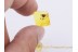 Beautiful Rare FLOWER Inclusion in BALTIC AMBER 819