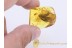 Huge Hairy FLOWER 12mm in BALTIC AMBER 888