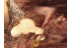 LEPIDOPTERA Moth Laying EGGS in BALTIC AMBER 938