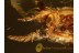 SCRAPTIID w Flabellate Antennae in BALTIC AMBER 956