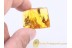 OAK INFLORESCENCE & MOTH Remains in BALTIC AMBER 988