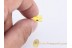 Ptinidae Great SPIDER BEETLE in BALTIC AMBER 997