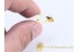 OECOBIIDAE Disc Web SPIDER in BALTIC AMBER 1056