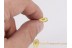 NEUROPTERA LACEWING in Genuine BALTIC AMBER 1096