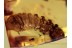 Giant  Larva CATERPILLAR Moth BALTIC AMBER 1106