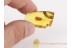 Giant  Larva CATERPILLAR Moth BALTIC AMBER 1106