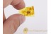 LEPIDOPTERA Great  Looking MOTH  BALTIC AMBER 1135
