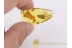 Fulgoroidea Great Large PLANTHOPPER BALTIC AMBER 1138