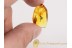 Great FLOWER on TWIG in BALTIC AMBER 1196