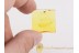 LEPIDOPTERA Nice Tiny MOTH  BALTIC AMBER 1188