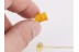 Lepidoptera LARVA Climbs Out of CASE  BALTIC AMBER 1239