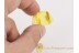 CATERPILLAR Moth LEPIDOPTERA Larvae in BALTIC AMBER 1092