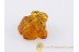 Hand Carved Genuine BALTIC AMBER - Large FROG Statuette f10