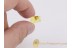 NEMATODA ROUND WORM & ANT in BALTIC AMBER 265