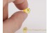 PHALANGIDA HARVESTMEN OPILIONE in BALTIC AMBER  304