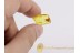 BLACK SCAVENGER FLY SCATOPSIDAE in BALTIC AMBER 125