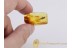 Huge 9mm CASE W LARVA Inside in BALTIC AMBER 136