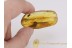 ISOPTERA Giant TERMITE Genuine BALTIC AMBER 203