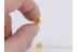 FUNGUS GNAT w MOULD & MOTH FLY + More BALTIC AMBER 378