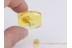 CERATOPOGONIDAE Amazing BITING MIDGE & 2 Gnats BALTIC AMBER 380