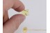 FLEA BEETLE Chrysomelidae Alticinae in BALTIC AMBER 443